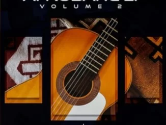 DJ Tears PLK, Take Me Home , AfroBang, mp3, download, datafilehost, toxicwap, fakaza, Afro House, Afro House 2020, Afro House Mix, Afro House Music, Afro Tech, House Music