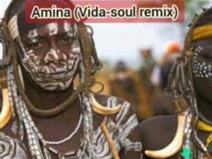 Jaguar Paw, Amina, Vida Soul Remix, Idd Aziz, mp3, download, datafilehost, toxicwap, fakaza, Afro House, Afro House 2020, Afro House Mix, Afro House Music, Afro Tech, House Music