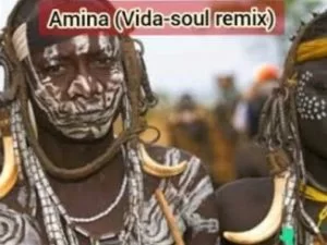 Jaguar Paw, Amina, Vida Soul Remix, Idd Aziz, mp3, download, datafilehost, toxicwap, fakaza, Afro House, Afro House 2020, Afro House Mix, Afro House Music, Afro Tech, House Music
