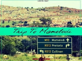 Lunive Deep, Trip to Mamelodi, DJ Ace Flavour, mp3, download, datafilehost, toxicwap, fakaza, Afro House, Afro House 2020, Afro House Mix, Afro House Music, Afro Tech, House Music