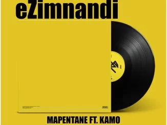 Mapentane, Kamo, Ezimnandi, mp3, download, datafilehost, toxicwap, fakaza, Afro House, Afro House 2020, Afro House Mix, Afro House Music, Afro Tech, House Music