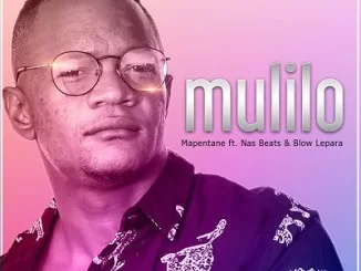 Mapentane, Mulilo, Nas Beats, Blow Lepara, mp3, download, datafilehost, toxicwap, fakaza, Afro House, Afro House 2020, Afro House Mix, Afro House Music, Afro Tech, House Music