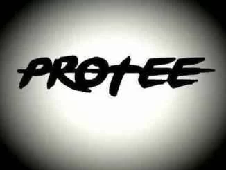 Martin Garrix, Animals, Pro-Tee’s 2020 Gqom Rebass, mp3, download, datafilehost, toxicwap, fakaza, Gqom Beats, Gqom Songs, Gqom Music, Gqom Mix, House Music