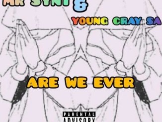 Mr Synt, Young Cray, Are We Ever, mp3, download, datafilehost, toxicwap, fakaza, Afro House, Afro House 2020, Afro House Mix, Afro House Music, Afro Tech, House Music