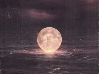 PDot O , Cold Waters, download ,zip, zippyshare, fakaza, EP, datafilehost, album, Hiphop, Hip hop music, Hip Hop Songs, Hip Hop Mix, Hip Hop, Rap, Rap Music