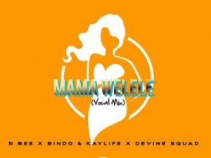 R-bee, Bindo, KayLife, Mama Yelele, Vocal Mix, Devine SquaD, mp3, download, datafilehost, toxicwap, fakaza, Afro House, Afro House 2020, Afro House Mix, Afro House Music, Afro Tech, House Music