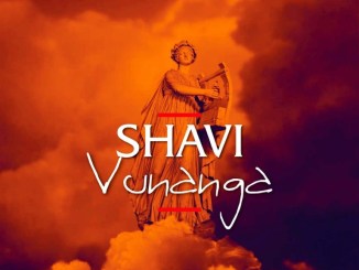 SHAVI, Vunanga, download ,zip, zippyshare, fakaza, EP, datafilehost, album, House Music, Amapiano, Amapiano 2019, Amapiano Mix, Amapiano Music