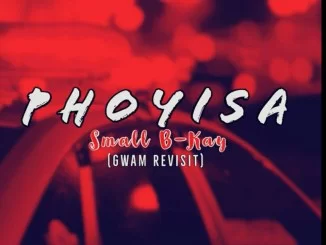 Small B-Kay , Phoyisa, Gwam Revisit, mp3, download, datafilehost, toxicwap, fakaza, House Music, Amapiano, Amapiano 2020, Amapiano Mix, Amapiano Music, House Music