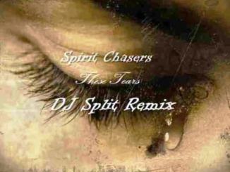 Spiritchaser, These Tears, DJ Split Amapiano Remix, mp3, download, datafilehost, toxicwap, fakaza, House Music, Amapiano, Amapiano 2020, Amapiano Mix, Amapiano Music, House Music