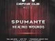 Spumante, Healing Wounds, download ,zip, zippyshare, fakaza, EP, datafilehost, album, Afro House, Afro House 2019, Afro House Mix, Afro House Music, Afro Tech, House Music