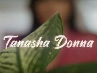 Tanasha Donna, Radio, Barak Jacuzzi, mp3, download, datafilehost, toxicwap, fakaza, Afro House, Afro House 2020, Afro House Mix, Afro House Music, Afro Tech, House Music