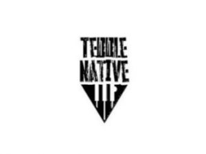 Teddle Native , Halaal, Tribute Mix, mp3, download, datafilehost, toxicwap, fakaza, House Music, Amapiano, Amapiano 2020, Amapiano Mix, Amapiano Music, House Music