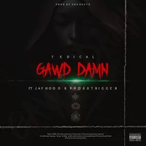 Tedical , Gawd Damn, Jayhood, Pross Trigger, mp3, download, datafilehost, toxicwap, fakaza, Hiphop, Hip hop music, Hip Hop Songs, Hip Hop Mix, Hip Hop, Rap, Rap Music
