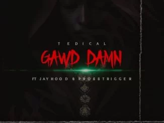 Tedical , Gawd Damn, Jayhood, Pross Trigger, mp3, download, datafilehost, toxicwap, fakaza, Hiphop, Hip hop music, Hip Hop Songs, Hip Hop Mix, Hip Hop, Rap, Rap Music