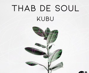 Thab De Soul, Kubu, Original Mix, mp3, download, datafilehost, toxicwap, fakaza, Afro House, Afro House 2020, Afro House Mix, Afro House Music, Afro Tech, House Music