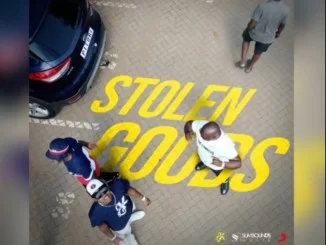 The Lowkeys, Stolen Goods, mp3, download, datafilehost, toxicwap, fakaza, House Music, Amapiano, Amapiano 2020, Amapiano Mix, Amapiano Music, House Music