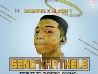 Twinaro Fam, Seng’khathele, Slash, Dashing, Tribute to Thoriso Noko Kgomo, mp3, download, datafilehost, toxicwap, fakaza, Afro House, Afro House 2020, Afro House Mix, Afro House Music, Afro Tech, House Music