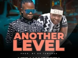 Vee Mampeezy, Another Level , Dj Sumbody , mp3, download, datafilehost, toxicwap, fakaza, Afro House, Afro House 2020, Afro House Mix, Afro House Music, Afro Tech, House Music