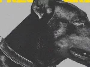 Zingah, Fresh Take, 25K, DJ Sliqe, mp3, download, datafilehost, toxicwap, fakaza, Hiphop, Hip hop music, Hip Hop Songs, Hip Hop Mix, Hip Hop, Rap, Rap Music