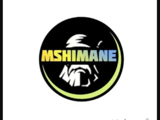 Mshimane, Ara, Enkonzweni, mp3, download, datafilehost, toxicwap, fakaza, Gqom Beats, Gqom Songs, Gqom Music, Gqom Mix, House Music