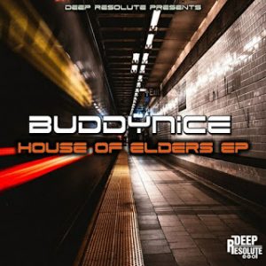 Download Buddynice In The Woods Intro Deep Resolute Edition Zamusic