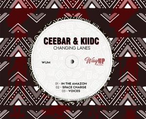 Ceebar, KiidC, Voices, mp3, download, datafilehost, toxicwap, fakaza, Afro House, Afro House 2020, Afro House Mix, Afro House Music, Afro Tech, House Music