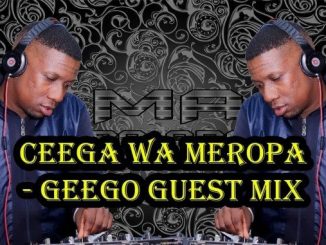 Ceega Wa Meropa, GeeGo Guest Mix, mp3, download, datafilehost, toxicwap, fakaza, Afro House, Afro House 2020, Afro House Mix, Afro House Music, Afro Tech, House Music
