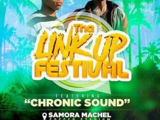 Chronic Sound, The Link Up Festival Ultimate Mix, mp3, download, datafilehost, toxicwap, fakaza, Afro House, Afro House 2020, Afro House Mix, Afro House Music, Afro Tech, House Music