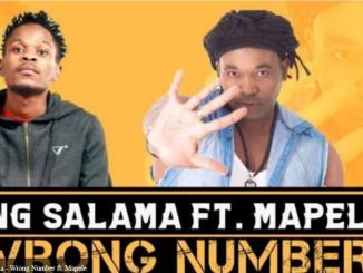 King Salama, Wrong Number, Mapele, mp3, download, datafilehost, toxicwap, fakaza, Afro House, Afro House 2020, Afro House Mix, Afro House Music, Afro Tech, House Music