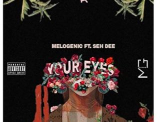 MeloGenic, Your Eyes, Seh Dee, mp3, download, datafilehost, toxicwap, fakaza, Afro House, Afro House 2020, Afro House Mix, Afro House Music, Afro Tech, House Music