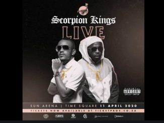 Scorpion Kings, Emcimbini (Bhudda Remix Instrumental), mp3, download, datafilehost, toxicwap, fakaza, House Music, Amapiano, Amapiano 2020, Amapiano Mix, Amapiano Music