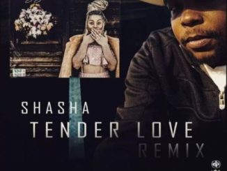 Sha Sha, Tender Love, (King Matalic SA Remix), mp3, download, datafilehost, toxicwap, fakaza, Afro House, Afro House 2020, Afro House Mix, Afro House Music, Afro Tech, House Music