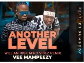 Vee Mampeezy, Another Level (William Risk’s Afro Vibez Remix), Dj Sumbody, mp3, download, datafilehost, toxicwap, fakaza, Afro House, Afro House 2019, Afro House Mix, Afro House Music, Afro Tech, House Music