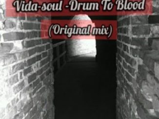 Vida-soul, Drum To Blood (Original Mix), mp3, download, datafilehost, toxicwap, fakaza, Afro House, Afro House 2020, Afro House Mix, Afro House Music, Afro Tech, House Music