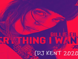 Billie Eilish, Everything I Wanted (DJ Kent 2020 Cut), mp3, download, datafilehost, toxicwap, fakaza, Afro House, Afro House 2020, Afro House Mix, Afro House Music, Afro Tech, House Music