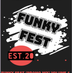 Black Chii, Funky Fest Vol. 1, mp3, download, datafilehost, toxicwap, fakaza, Afro House, Afro House 2020, Afro House Mix, Afro House Music, Afro Tech, House Music