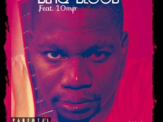 Blaq Blood, Zwap, 10MP, mp3, download, datafilehost, toxicwap, fakaza, Hiphop, Hip hop music, Hip Hop Songs, Hip Hop Mix, Hip Hop, Rap, Rap Music