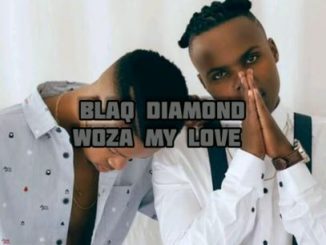 Blaq Diamond, Woza My Love (Lyrics), mp3, download, datafilehost, toxicwap, fakaza, Afro House, Afro House 2020, Afro House Mix, Afro House Music, Afro Tech, House Music