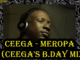 Ceega, Meropa 81 (Ceega’s B.Day Mix), mp3, download, datafilehost, toxicwap, fakaza, Afro House, Afro House 2020, Afro House Mix, Afro House Music, Afro Tech, House Music