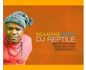 Dj Reptile, Ngamane Ngife (Slow jam Prod by JMC), mp3, download, datafilehost, toxicwap, fakaza, Afro House, Afro House 2020, Afro House Mix, Afro House Music, Afro Tech, House Music