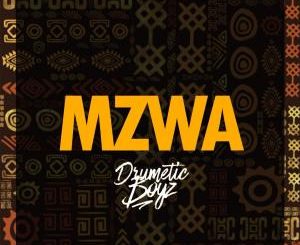 DrumeticBoyz, MZWA, mp3, download, datafilehost, toxicwap, fakaza, Afro House, Afro House 2020, Afro House Mix, Afro House Music, Afro Tech, House Music
