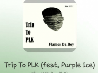Flames Da Boy, Trip To PLK,Purple Ice, mp3, download, datafilehost, toxicwap, fakaza, Afro House, Afro House 2020, Afro House Mix, Afro House Music, Afro Tech, House Music