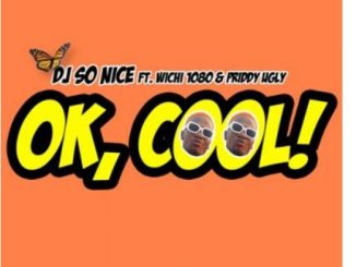 DJ So Nice, Ok Cool, Wichi1080, Priddy Ugly, mp3, download, datafilehost, toxicwap, fakaza, Afro House, Afro House 2020, Afro House Mix, Afro House Music, Afro Tech, House Music