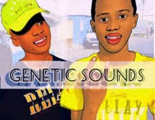 Genetic Sounds, Zizojika Izinto, Max Havoc, mp3, download, datafilehost, toxicwap, fakaza, Afro House, Afro House 2020, Afro House Mix, Afro House Music, Afro Tech, House Music
