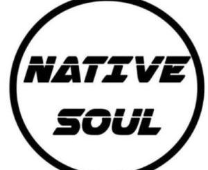 Native Soul, A Letter to Kabza De Small, mp3, download, datafilehost, toxicwap, fakaza, House Music, Amapiano, Amapiano 2020, Amapiano Mix, Amapiano Music