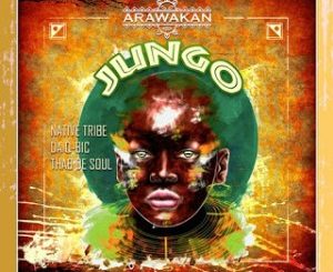 Native Tribe, Da Q-Bic, Thab De Soul, Jungo (Original Mix), mp3, download, datafilehost, toxicwap, fakaza, Afro House, Afro House 2020, Afro House Mix, Afro House Music, Afro Tech, House Music