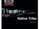 Native Tribe, Visions, mp3, download, datafilehost, toxicwap, fakaza, Afro House, Afro House 2020, Afro House Mix, Afro House Music, Afro Tech, House Music