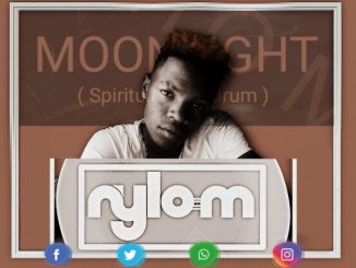 Nylo M, Moonlight (Spiritual Afro Drum), mp3, download, datafilehost, toxicwap, fakaza, Afro House, Afro House 2020, Afro House Mix, Afro House Music, Afro Tech, House Music