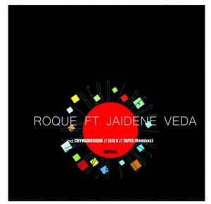 Roque, Hero (Chymamusique B2S Remix), Jaidene Veda, mp3, download, datafilehost, toxicwap, fakaza, Afro House, Afro House 2020, Afro House Mix, Afro House Music, Afro Tech, House Music