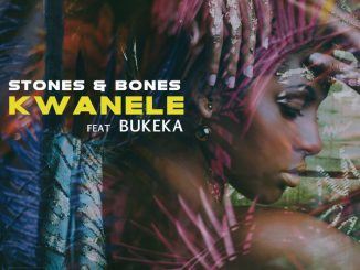 Stones, Bones, Kwanele (Original Mix), Bukeka, mp3, download, datafilehost, toxicwap, fakaza, Afro House, Afro House 2020, Afro House Mix, Afro House Music, Afro Tech, House Music